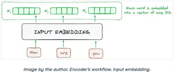 Embedding layer converting tokens to vectors