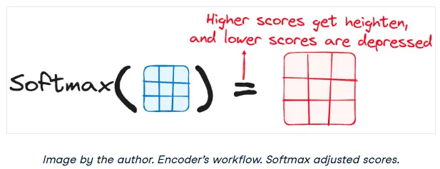 Softmax applied to scaled attention scores