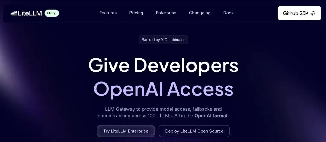 liteLLM universal API translator for 100+ large language models